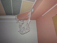 IMG_4235.JPG